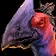 Lovebird Hatchling Icon