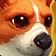 Corgnelius Icon