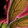 Wood Wasp Icon