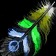 Green Wing Macaw Icon