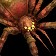 Bloodfeaster Spiderling Icon