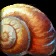 Scooter the Snail Icon
