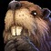 Spiketail Beaver Icon