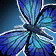 Blue Flitter Icon