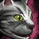 Silver Tabby Cat Icon