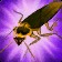 Mechanical Cockroach Icon