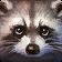 inv_pet_raccoon