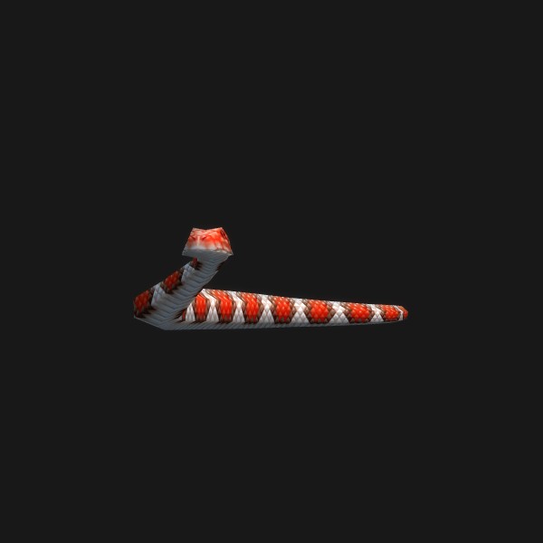 King Snake