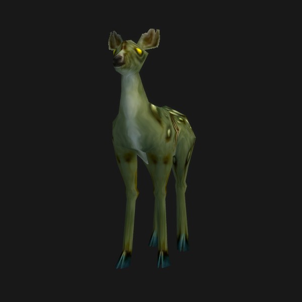 Infected Fawn