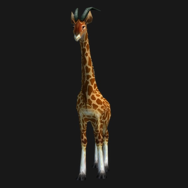 Giraffe Calf