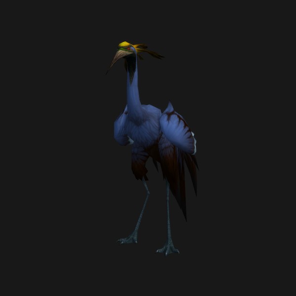 Azure Crane Chick