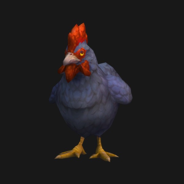Ancona Chicken