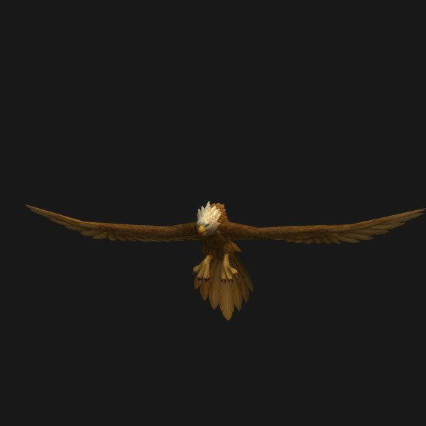 Golden Eaglet