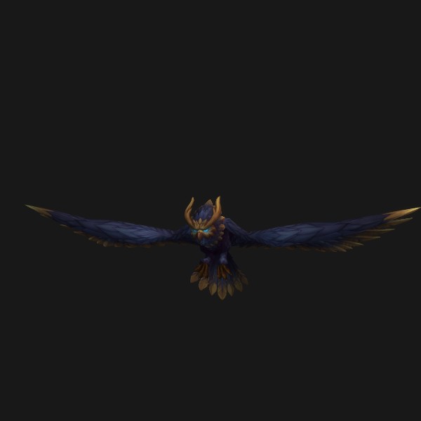 Fledgling Warden Owl