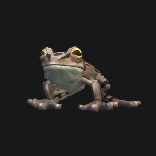 Lifelike Toad