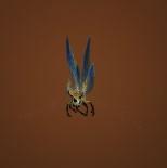 Yellow Moth
