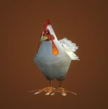 Chicken